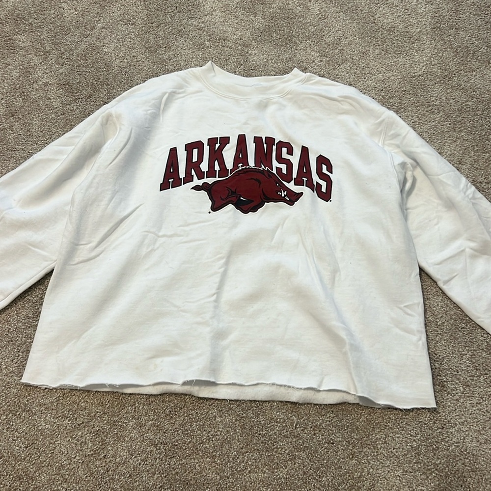 Champion cropped Arkansas sweatshirt